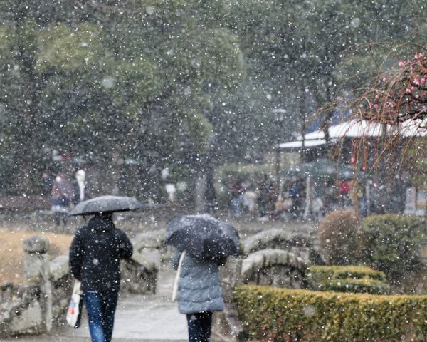 雪